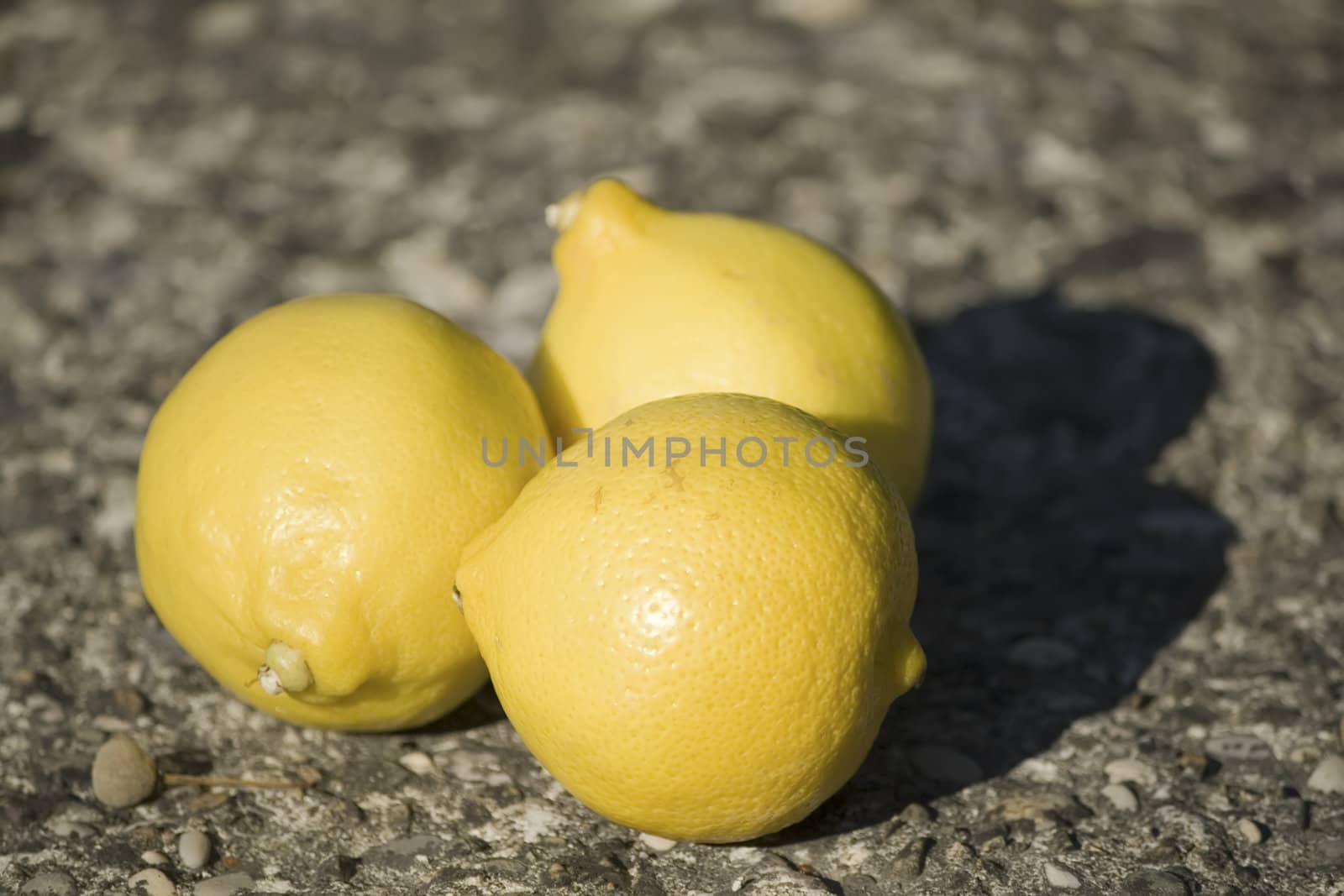 lemons by nubephoto