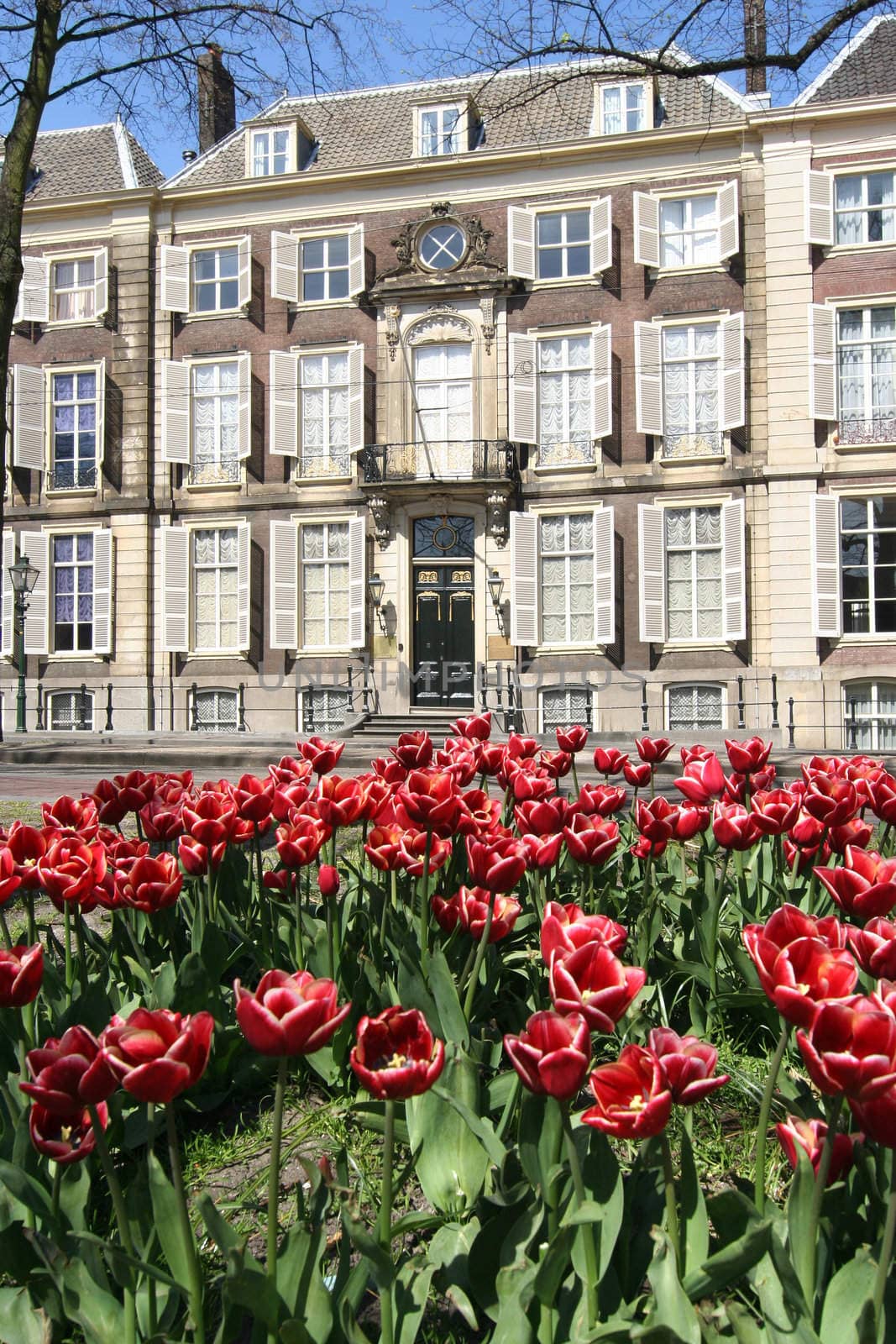 Spring flowers and classic mansion in The Hague, Holland