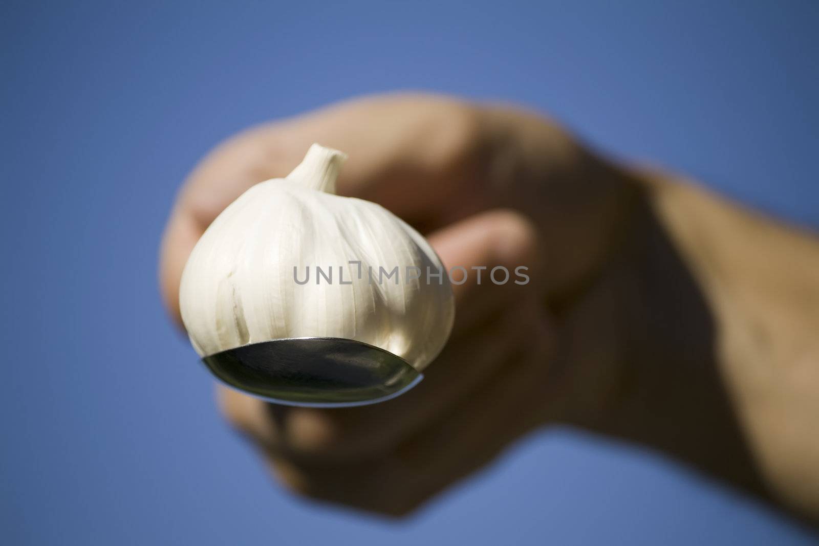 hand holding a garlic bulb in spoon
