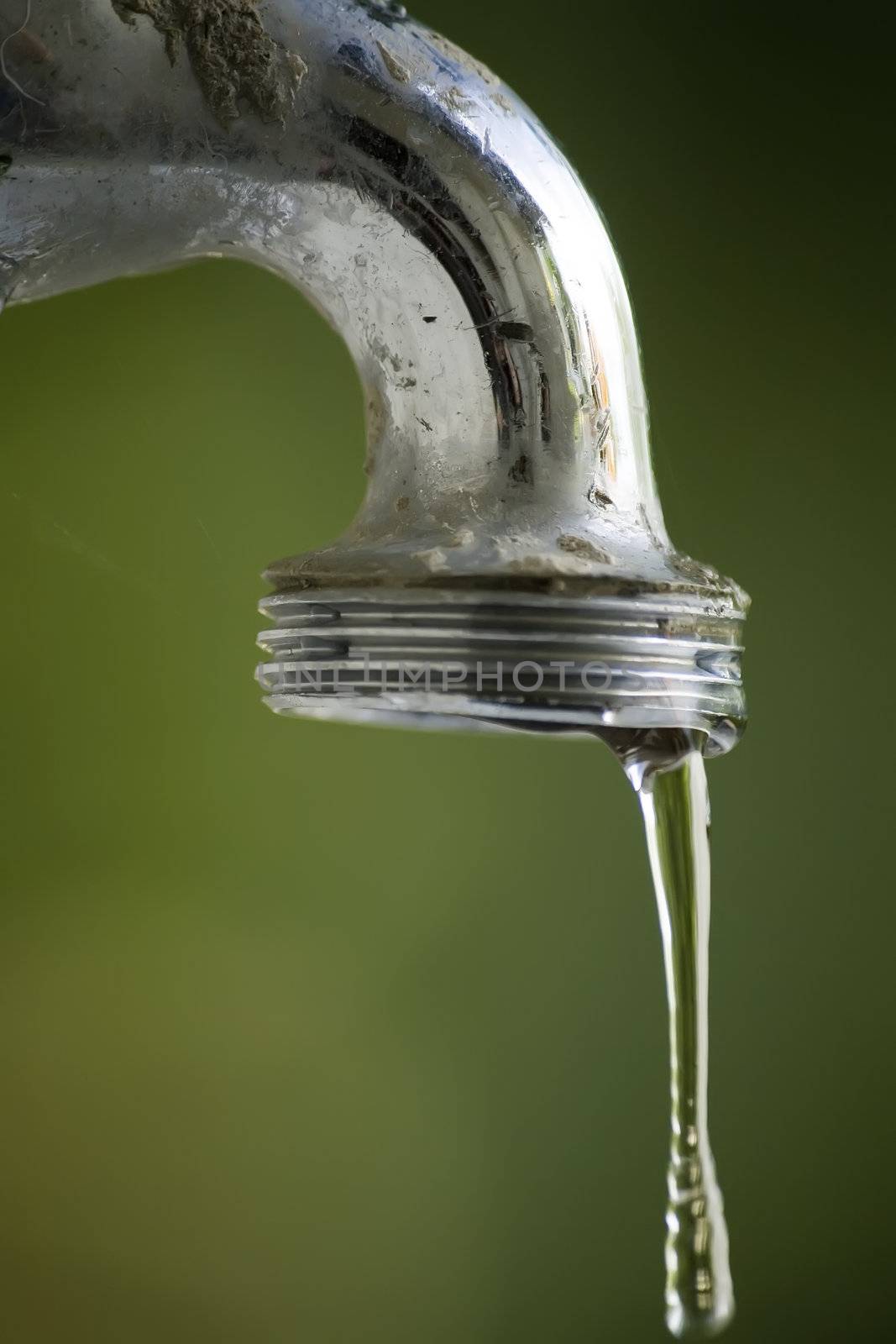 water dripping from a garden tap