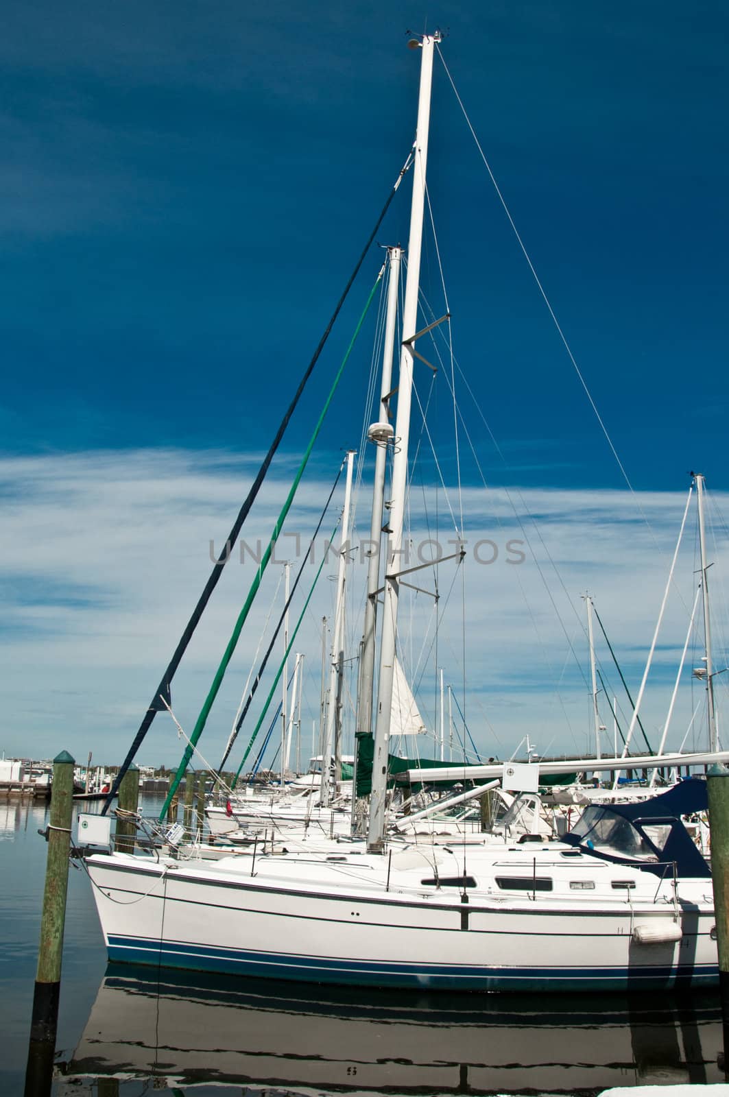 Row of sailboats moored at Bradenton, Florida