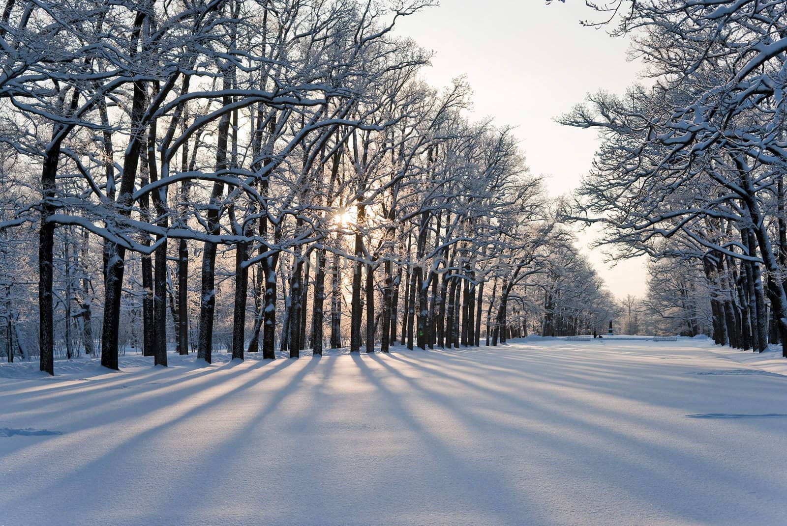 Winter in the park by mulden