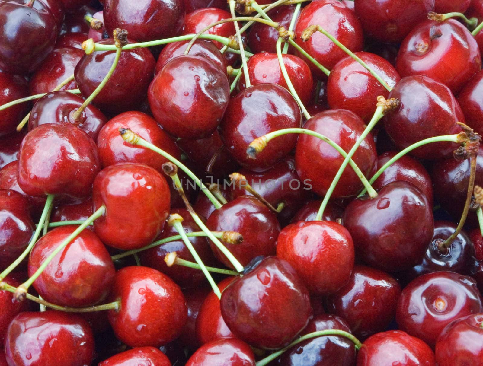 a group of ripe, juicy, fresh sweet cherries. close-up