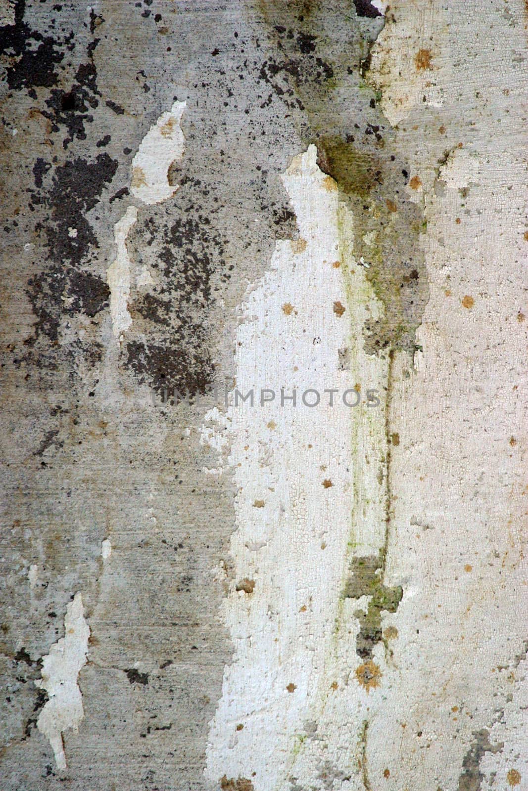 Full screen high resolution shot of old wall. Good for a texture or a background.