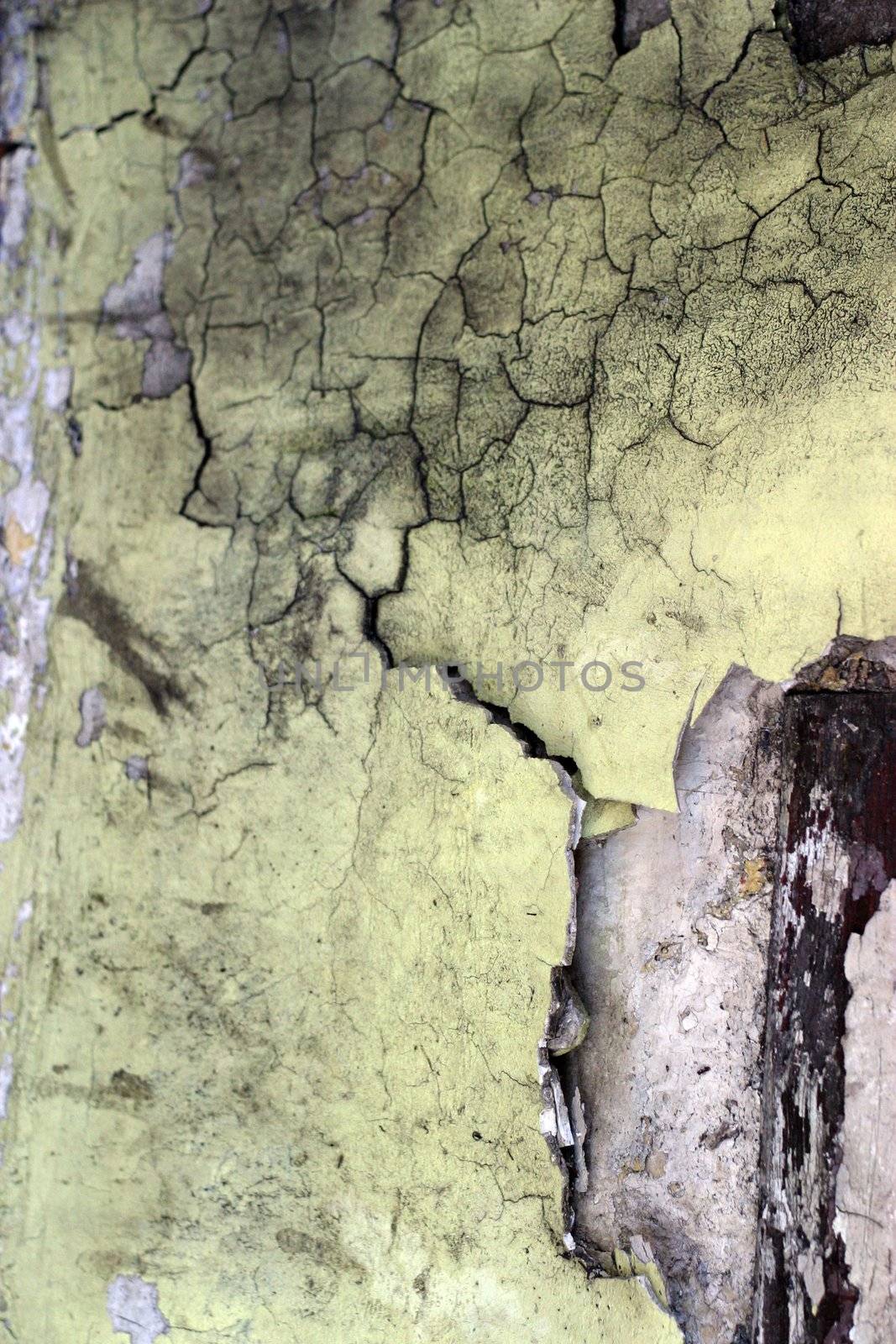 Full screen high resolution shot of wall. Good for a texture or a background.