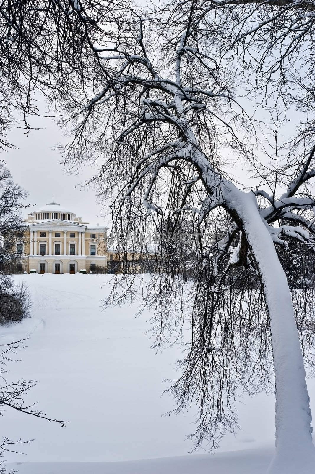 Classical building and picturesque tree in winter park