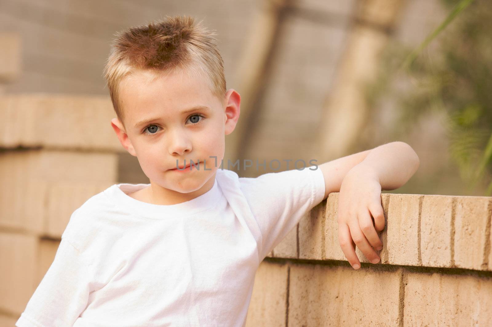 Young Boy Portrait Poses On Brick Wall