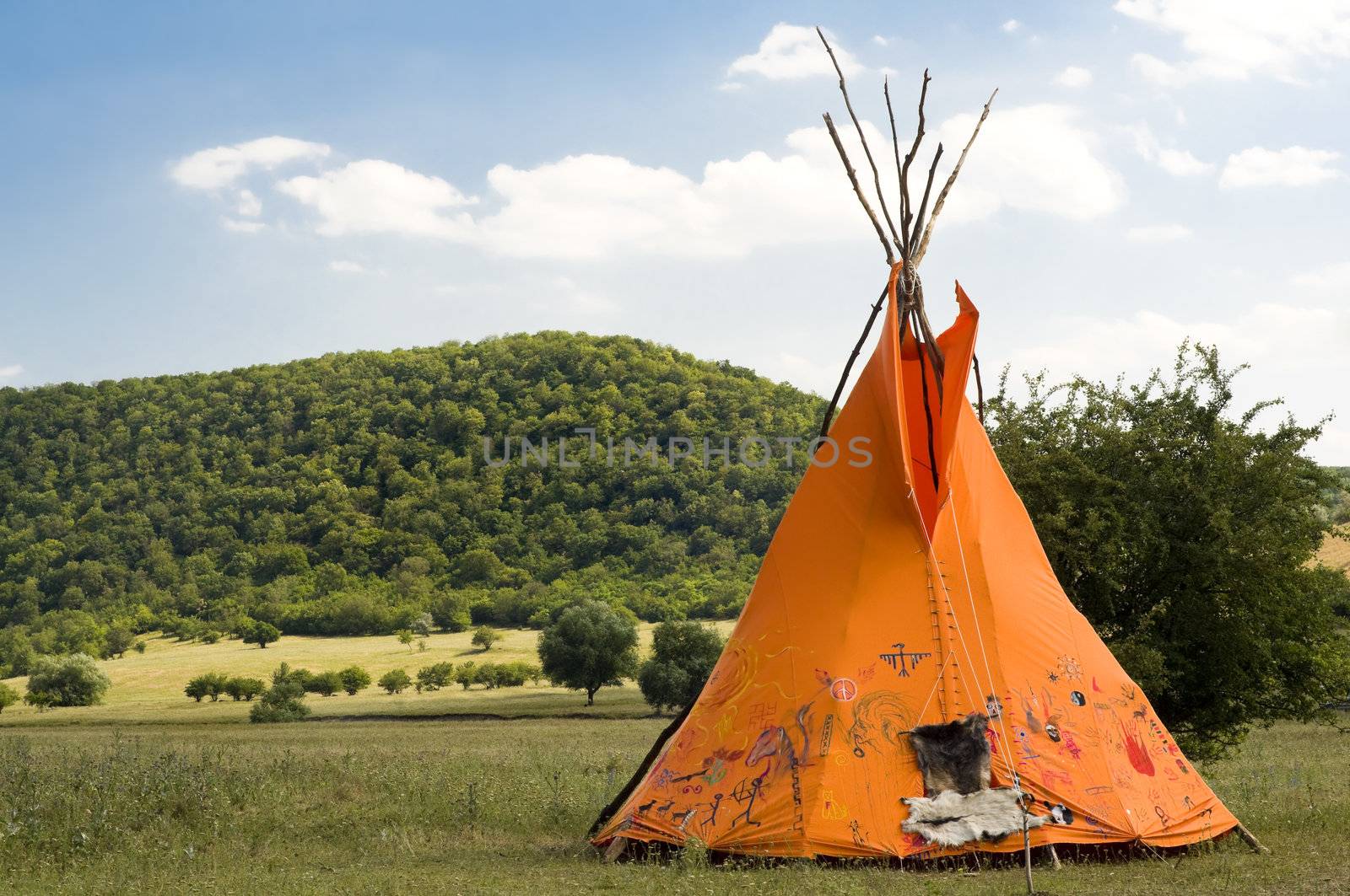 indian ethnic domicile, teepee AKA wigwam on the meadow