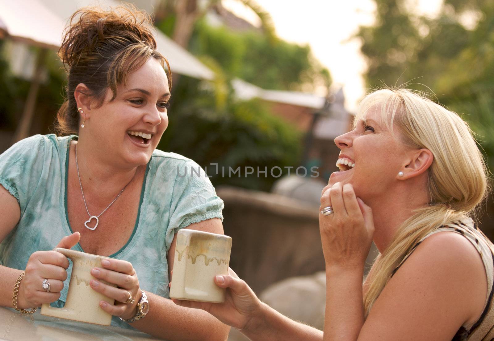 Two Girlfriends Enjoy A Casual Conversation