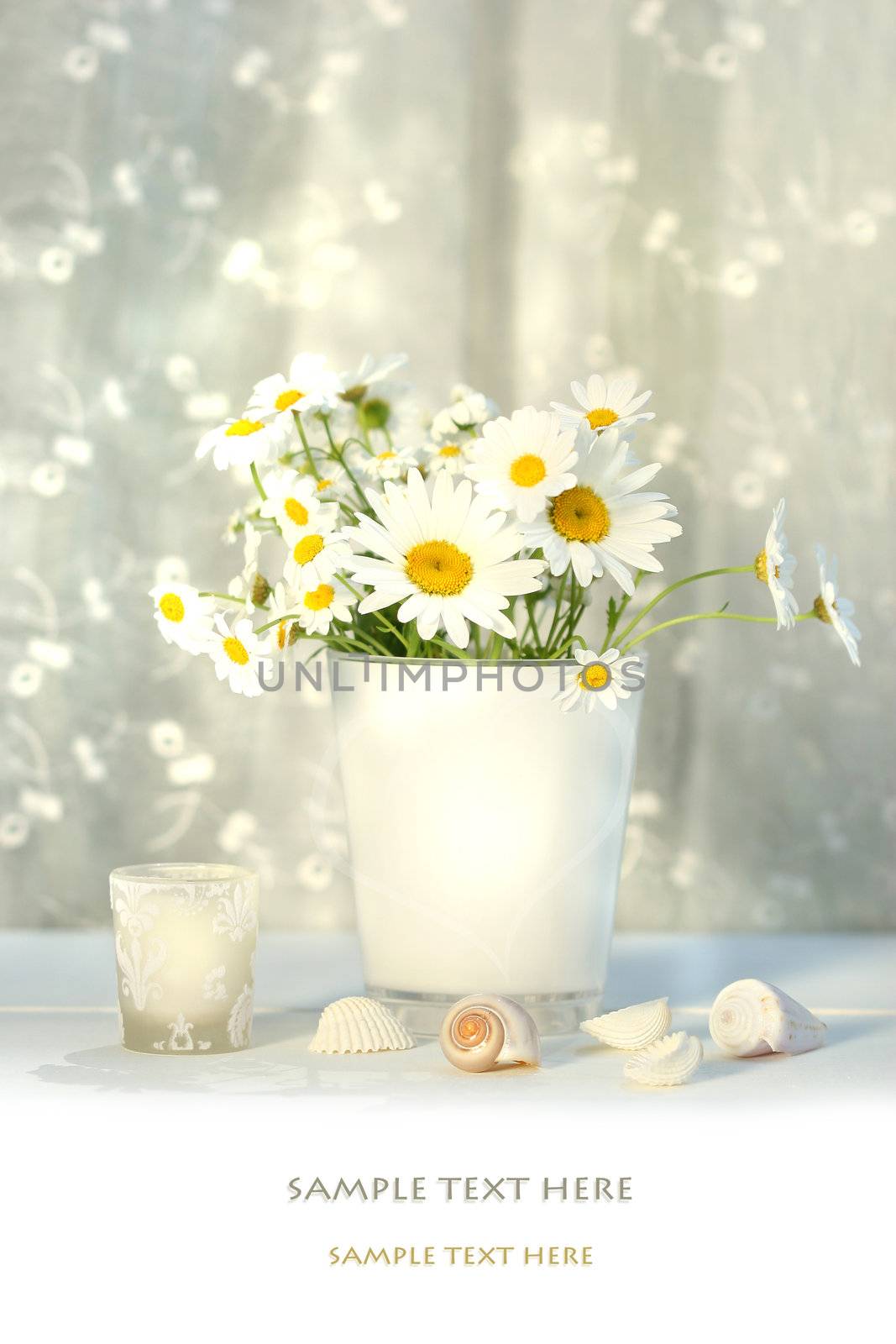 Little white daisies and seashells with white lace curtains 