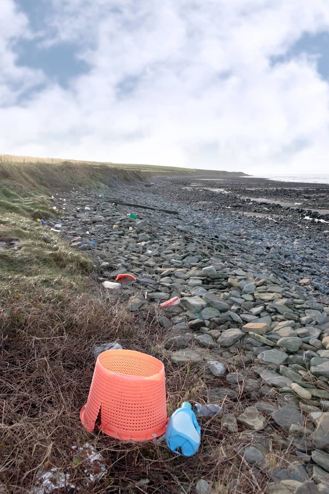 the waste that washes up or dumped on our coastline
