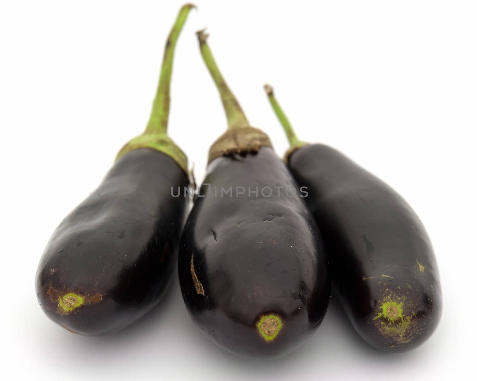 Three big eggplants on a white background.