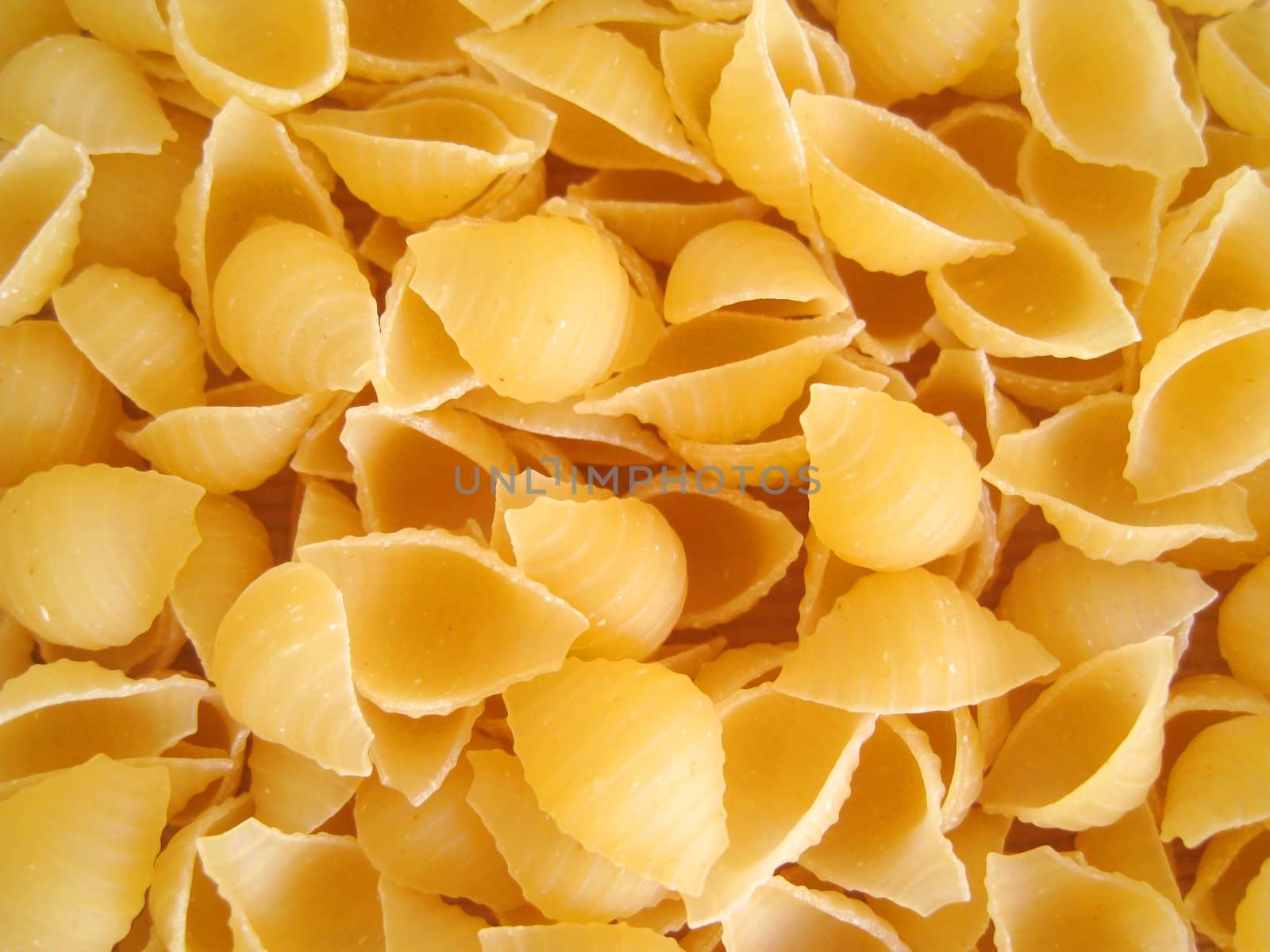 a close up for a bunch of pasta shell