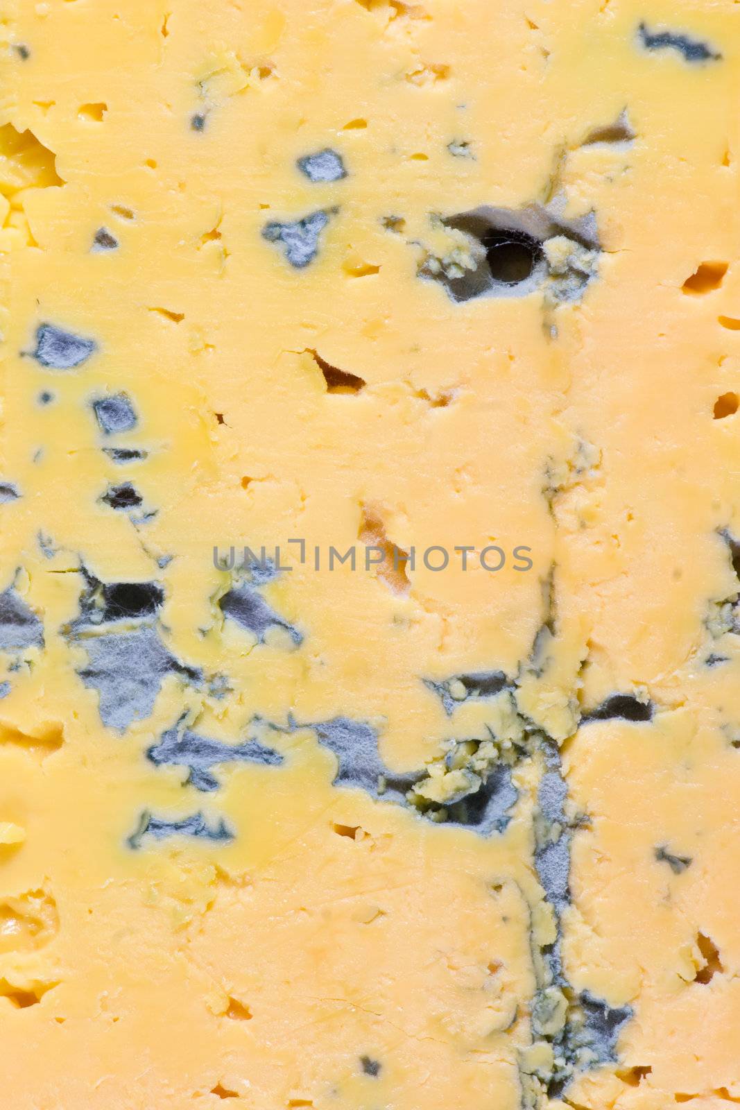 Yellow cheese with blue mold by naumoid