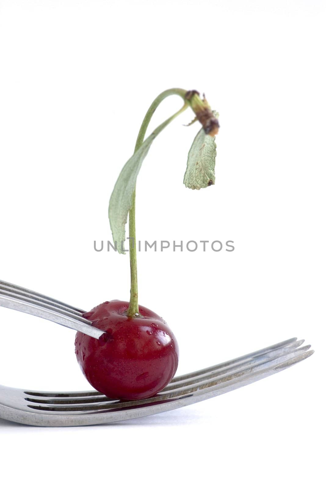 wet cherry with two fork over white background