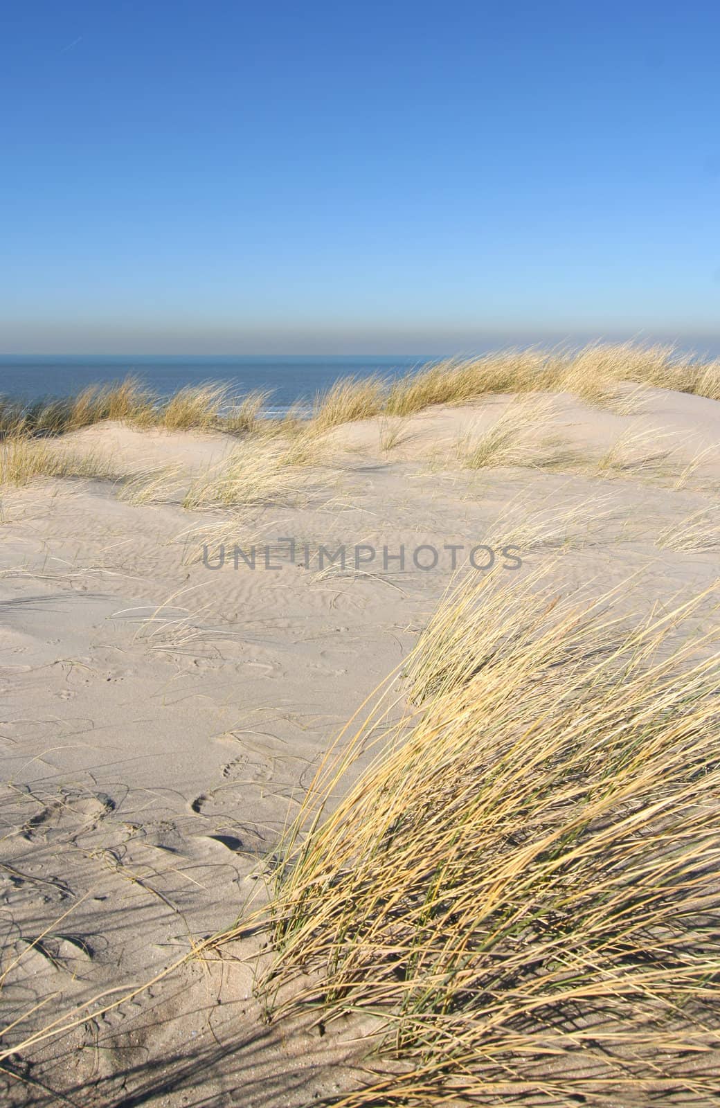 Dunes and the sea beyond, in Holland