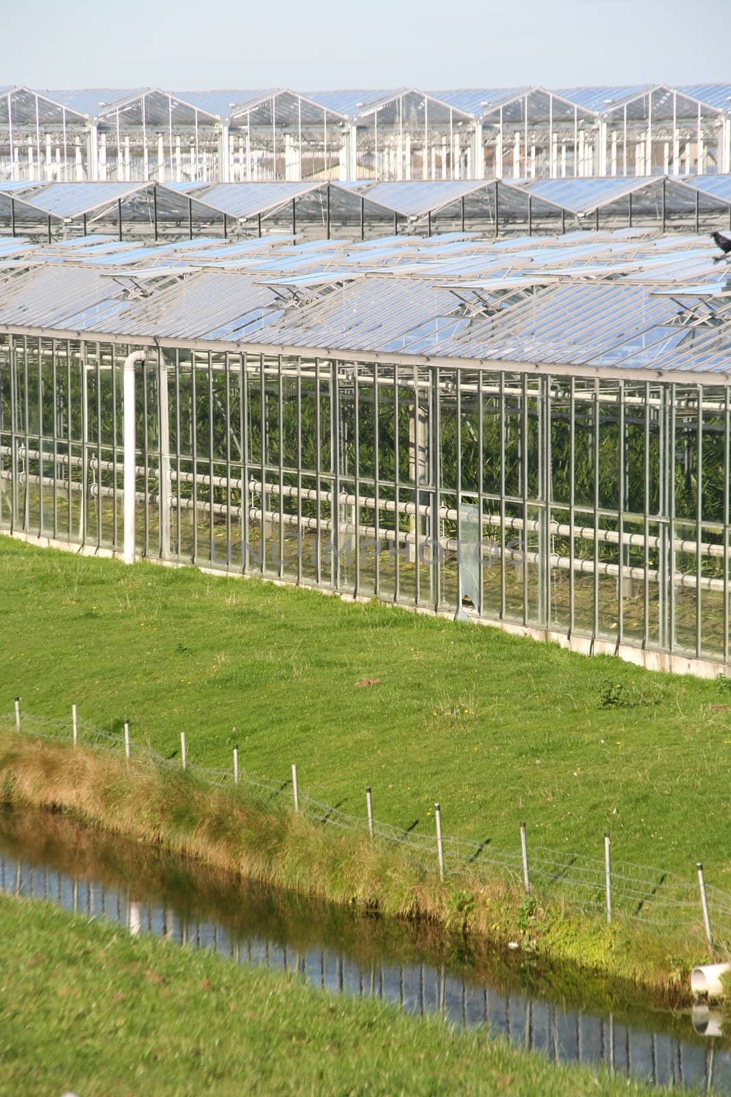 Agricultural greenhouses in the Netherlands