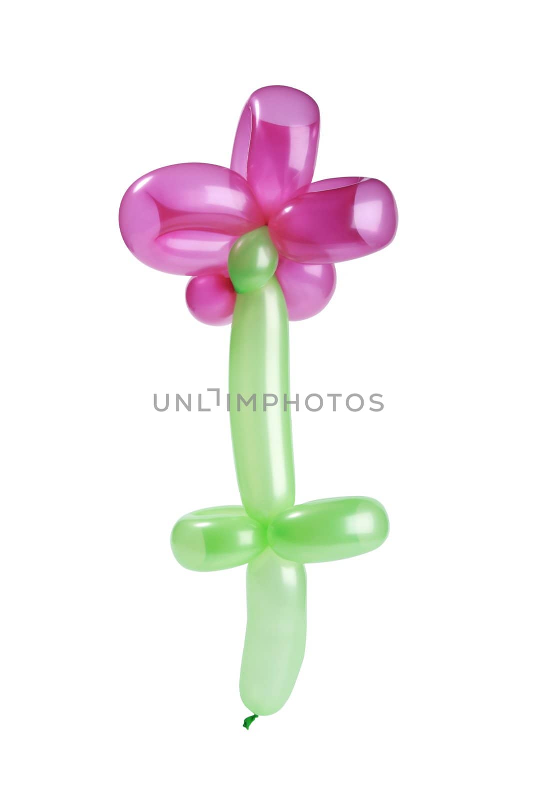 balloons twisted into a blossoming flower isolated on white