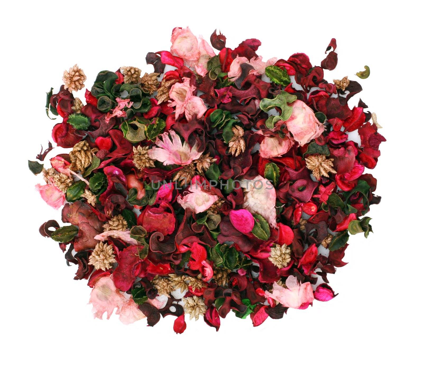 Beautiful dry flower arrangement isolated on white