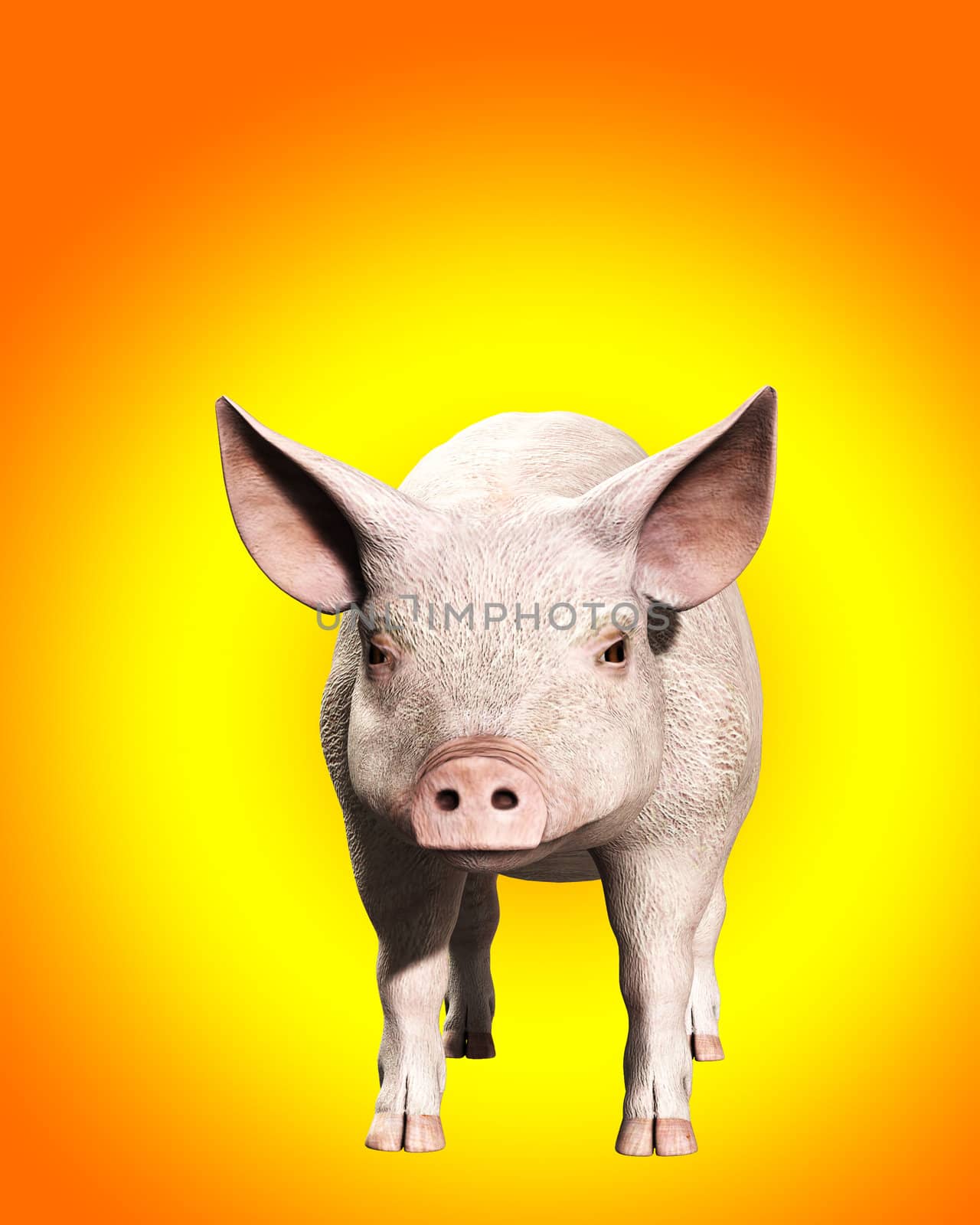 A simple image of a pink farm pig.