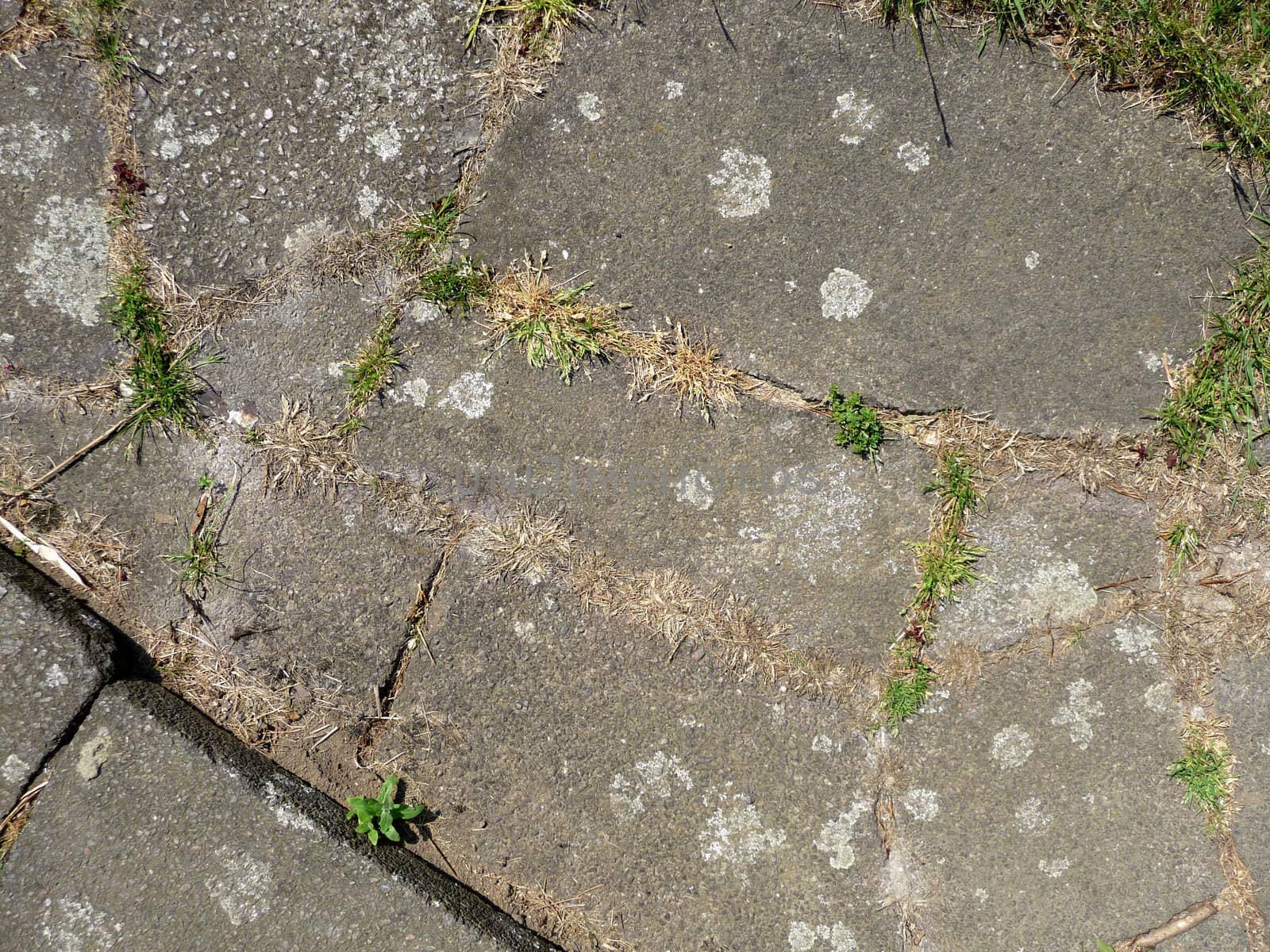 A image of a set of pavement slabs on the ground it would make an interesting texture background.