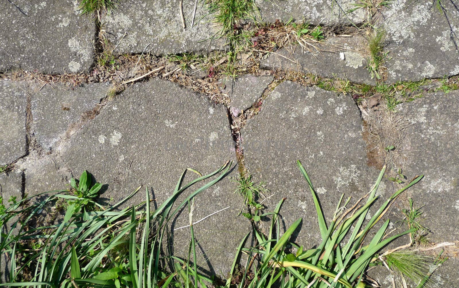 A image of a set of pavement slabs on the ground it would make an interesting texture background.