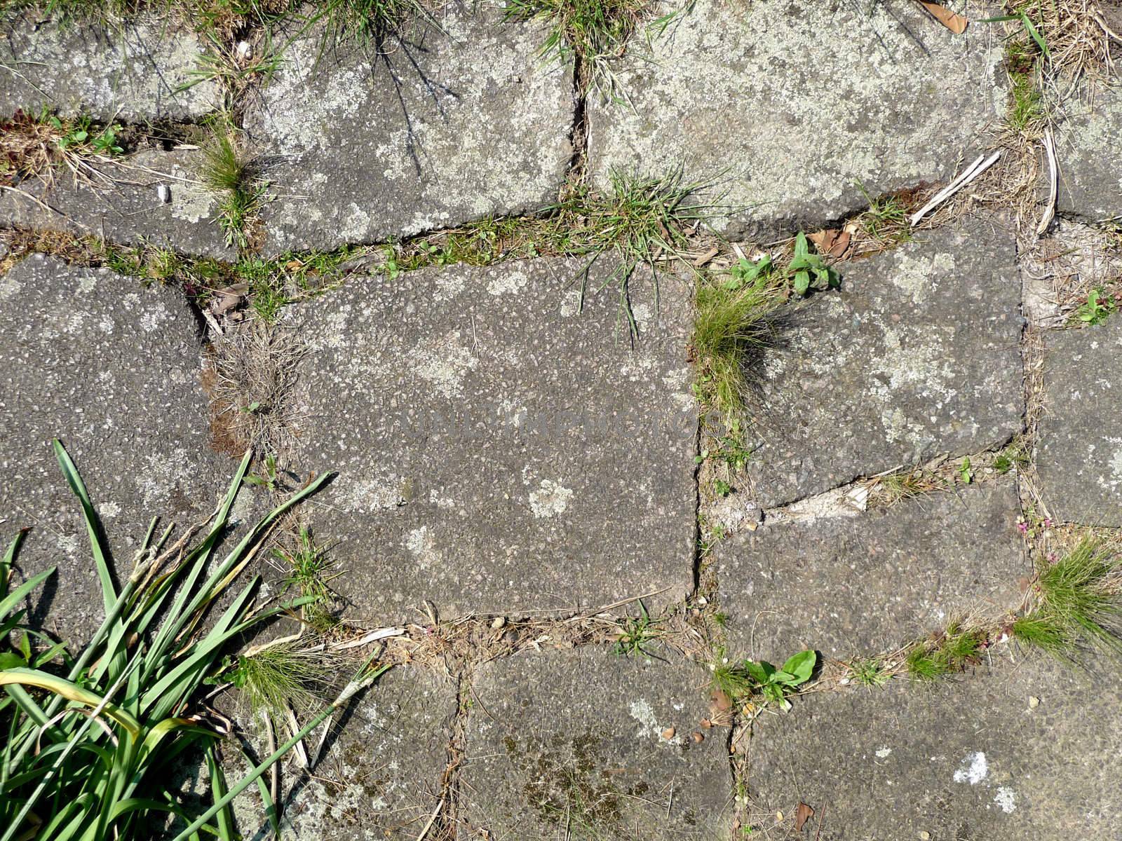 A image of a set of pavement slabs on the ground it would make an interesting texture background.