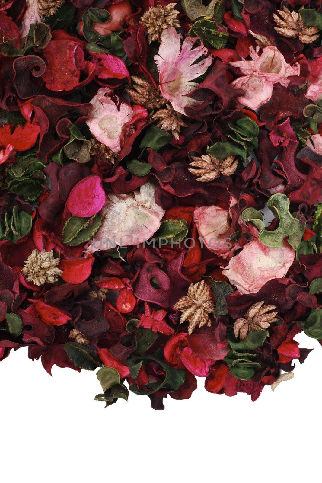 Dry flower background with copy space