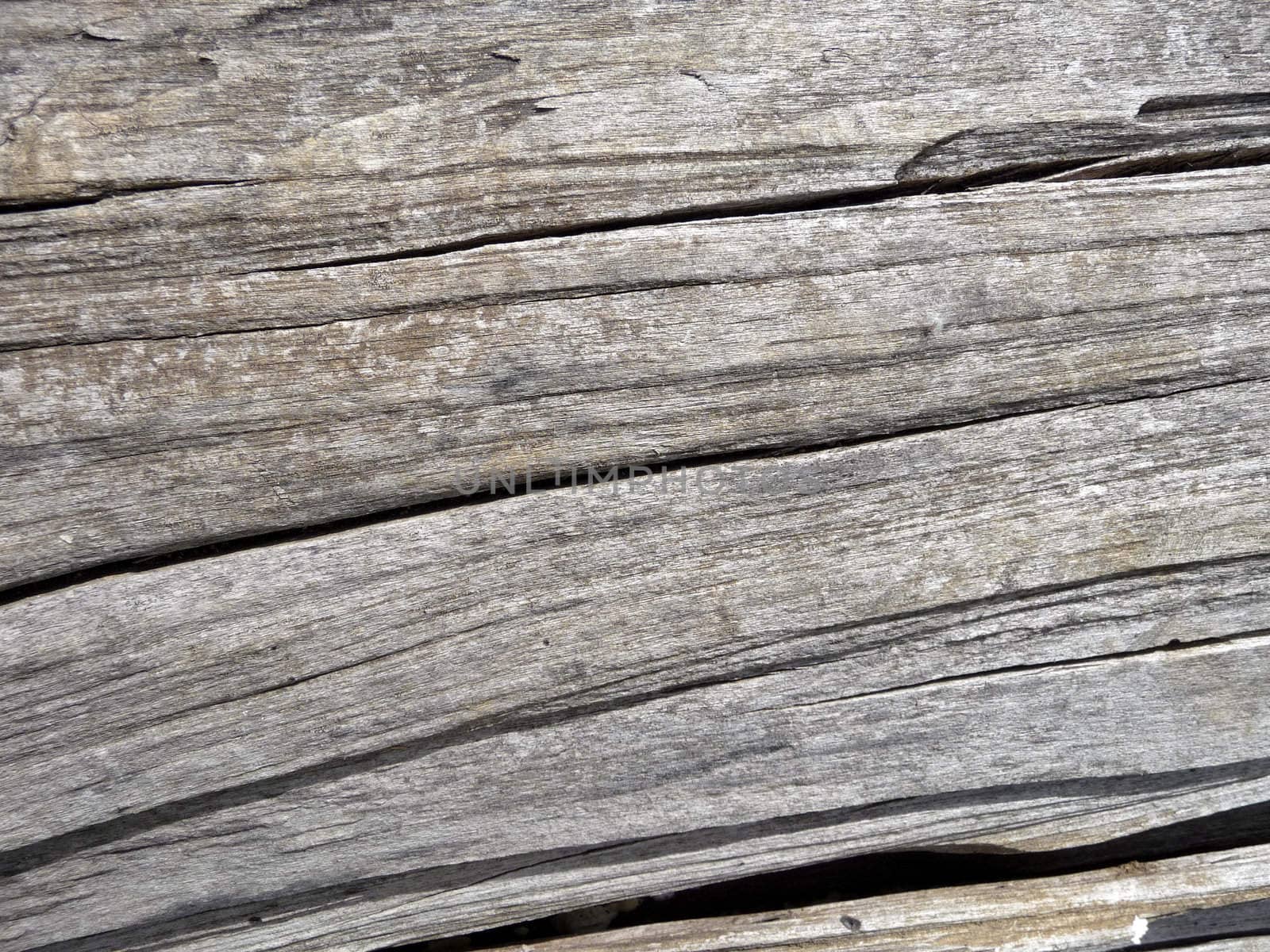A abstract close up photograph of the wood from a dead tree.