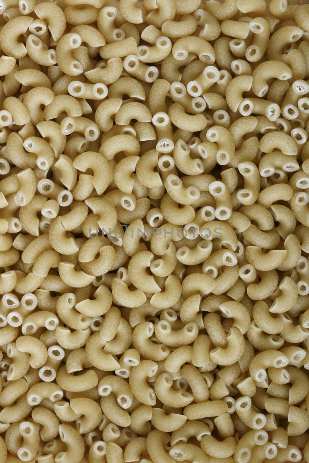 Macro background image of maccaroni pasta