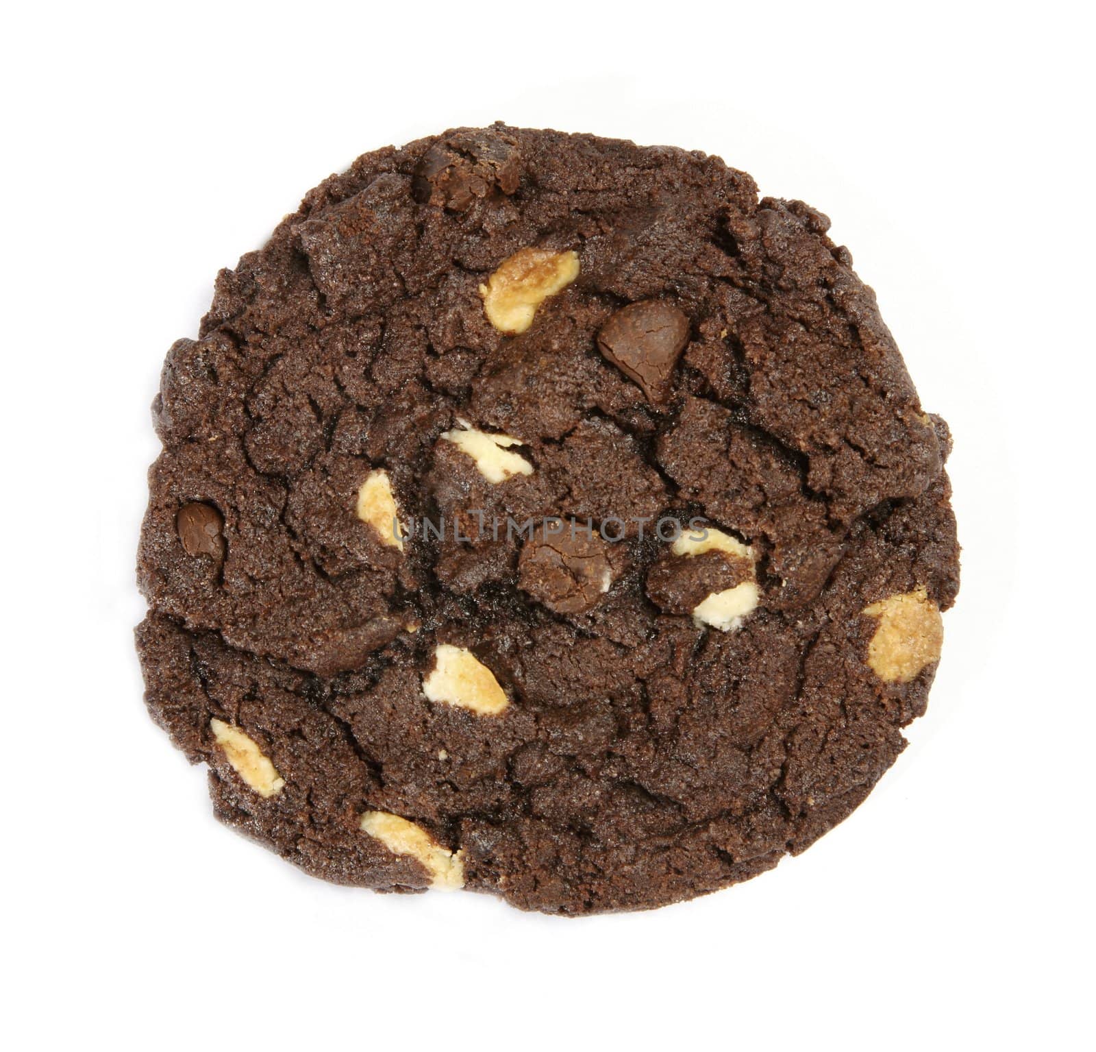 Delicious choclated chips cookie isolated on white background