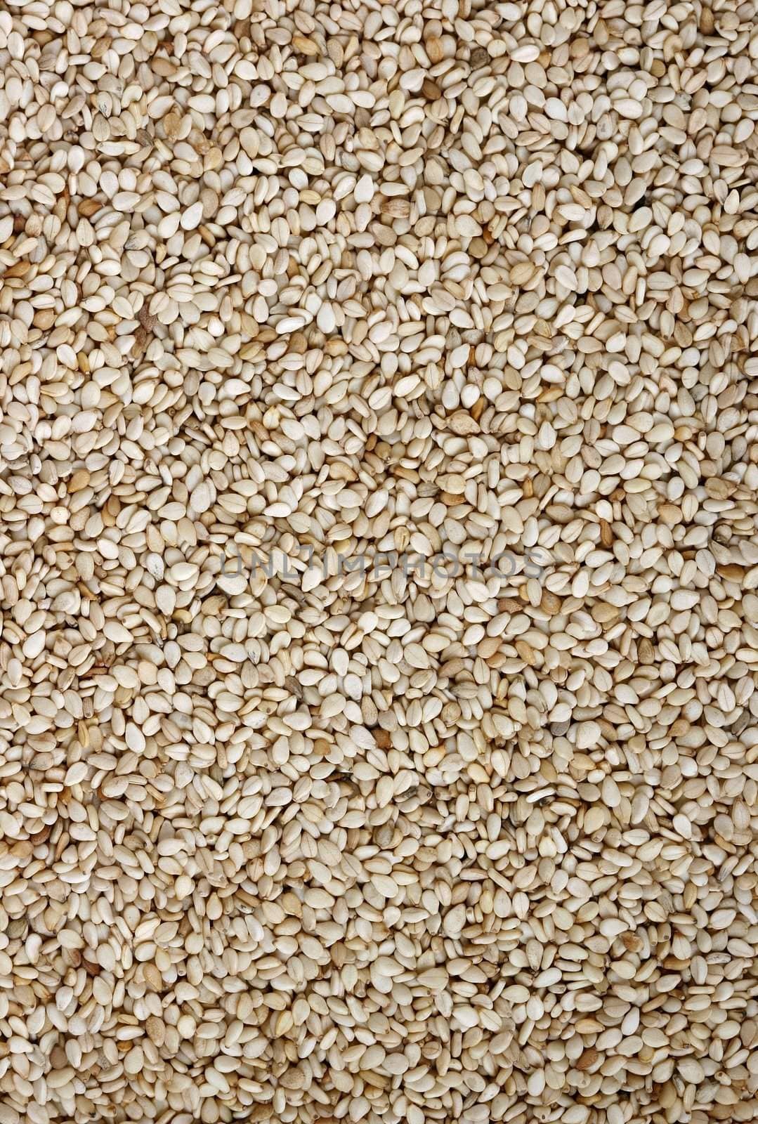 Macro background image of a sesame seeds