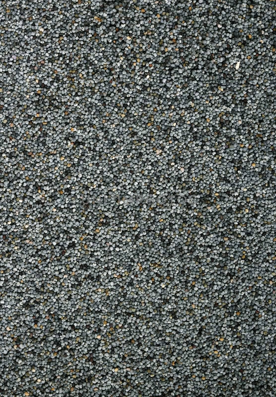Macro background image of poppy seeds