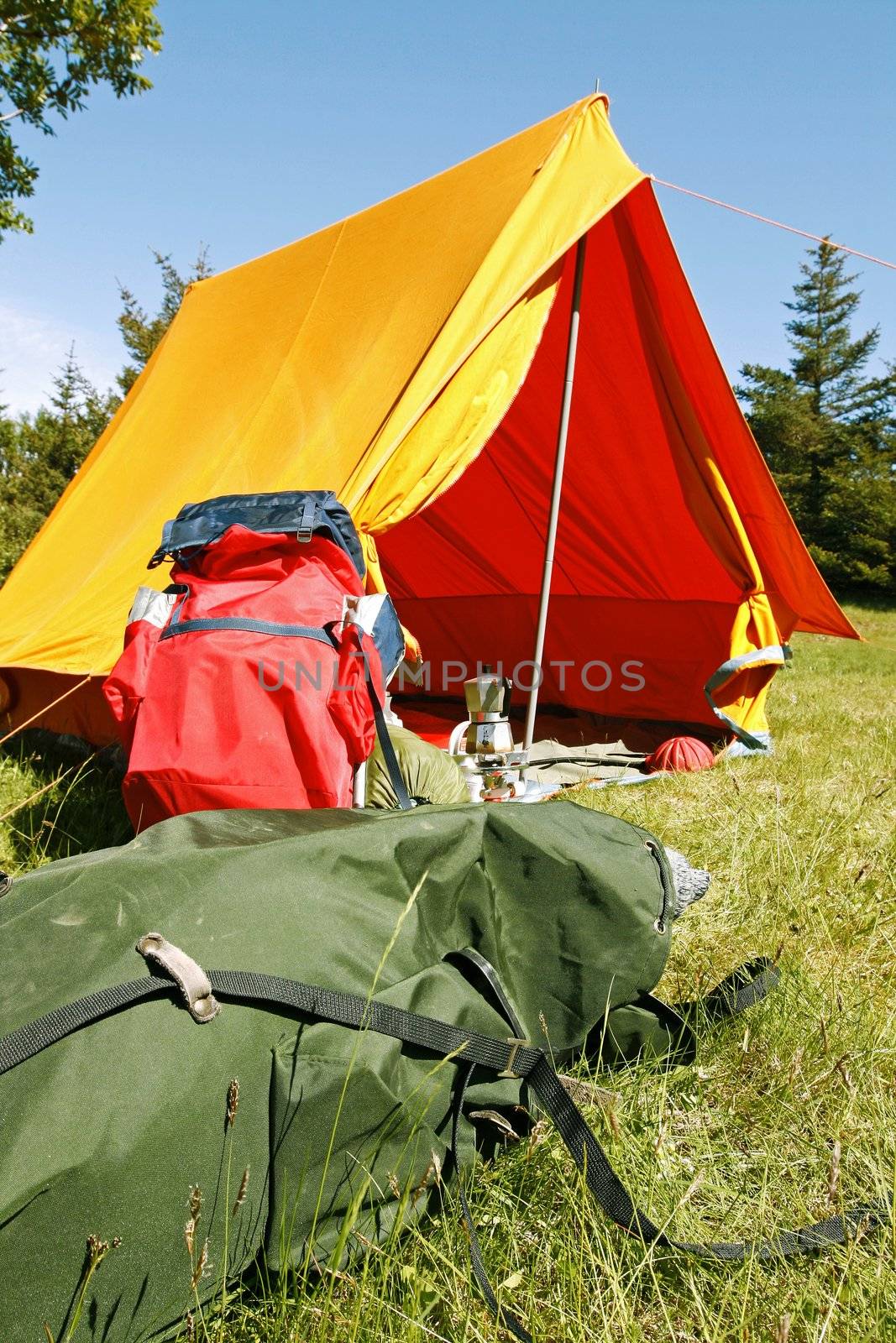 Beautiful and natural camping site on a bright summer day