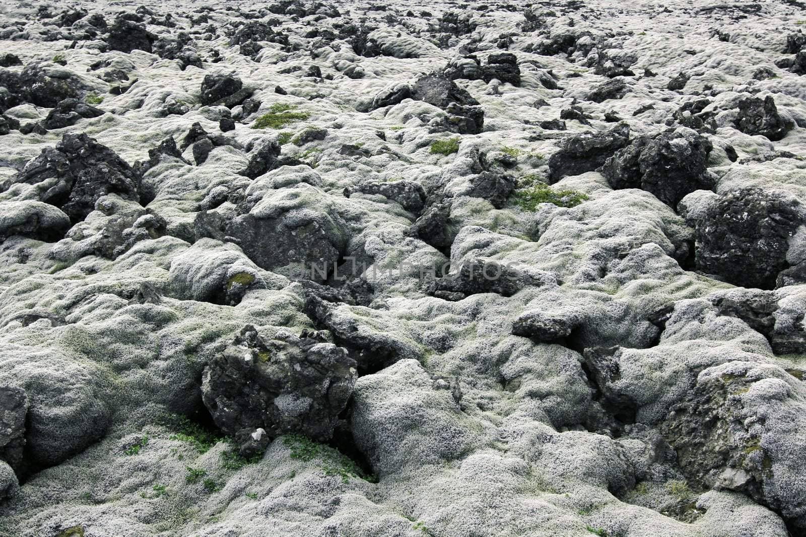 Exotic lava landscape in Iceland. The ancient lava is covered in soft moss - would make a great print