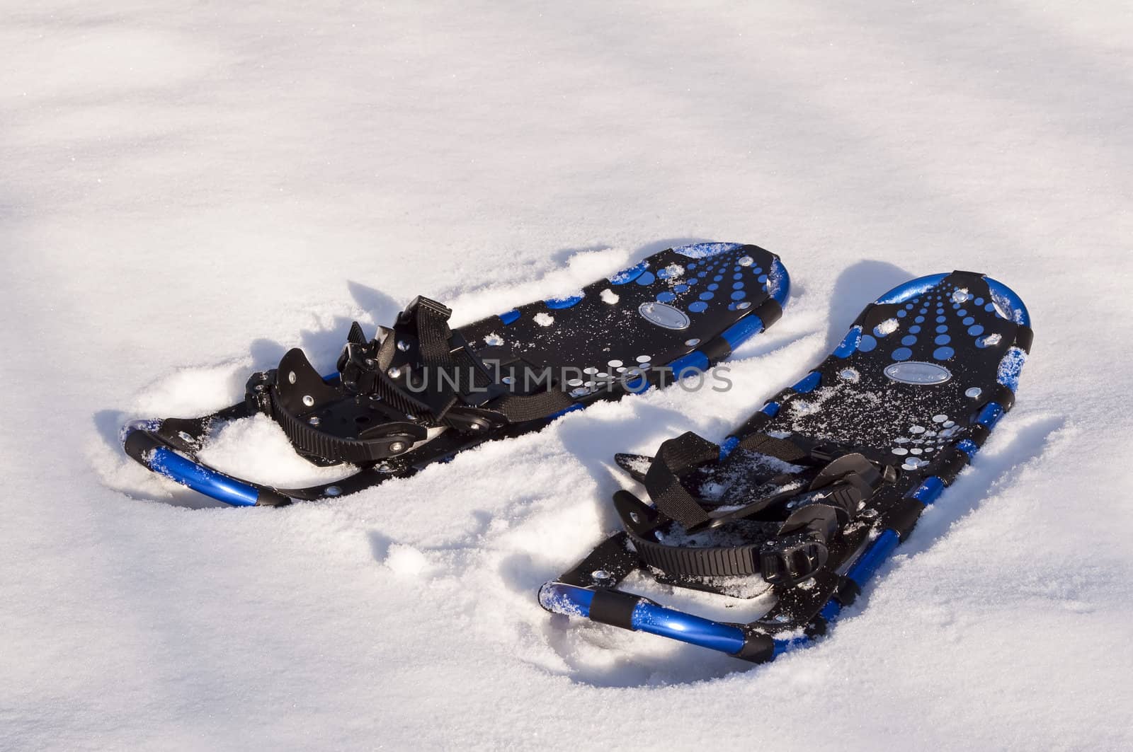 High resolution photo of a pair of snow rackets.