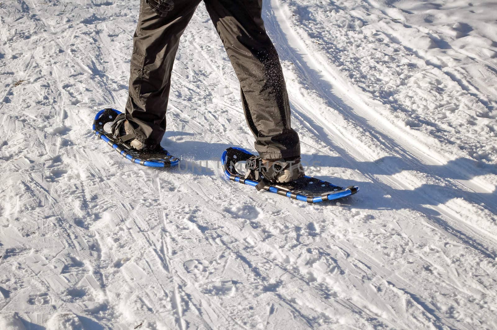 Winter activity: walking on the snow.