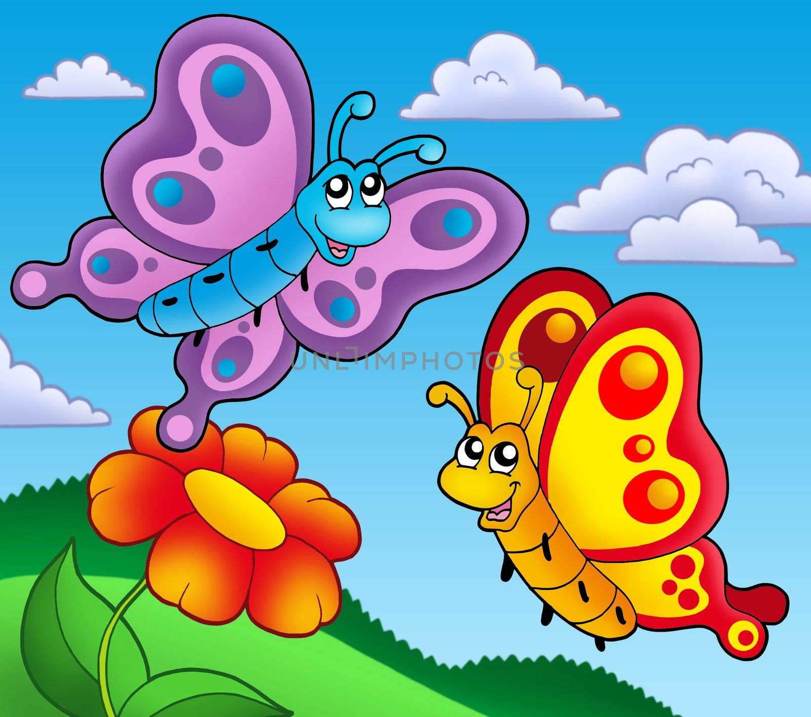 Pair of butterflies with red flower - color illustration.