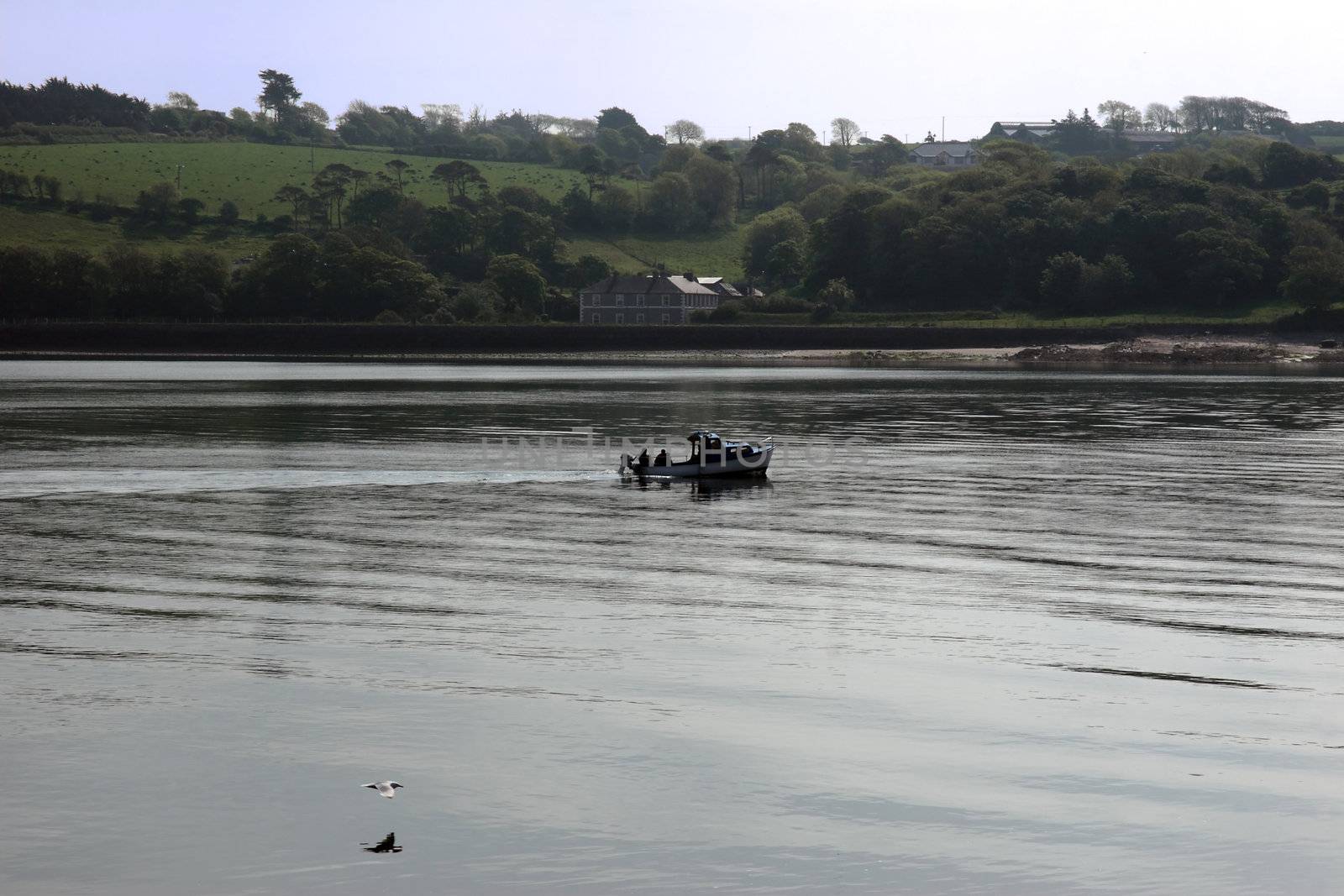 people fishing from a boat on the river blackwater in ireland with a seagull flying by