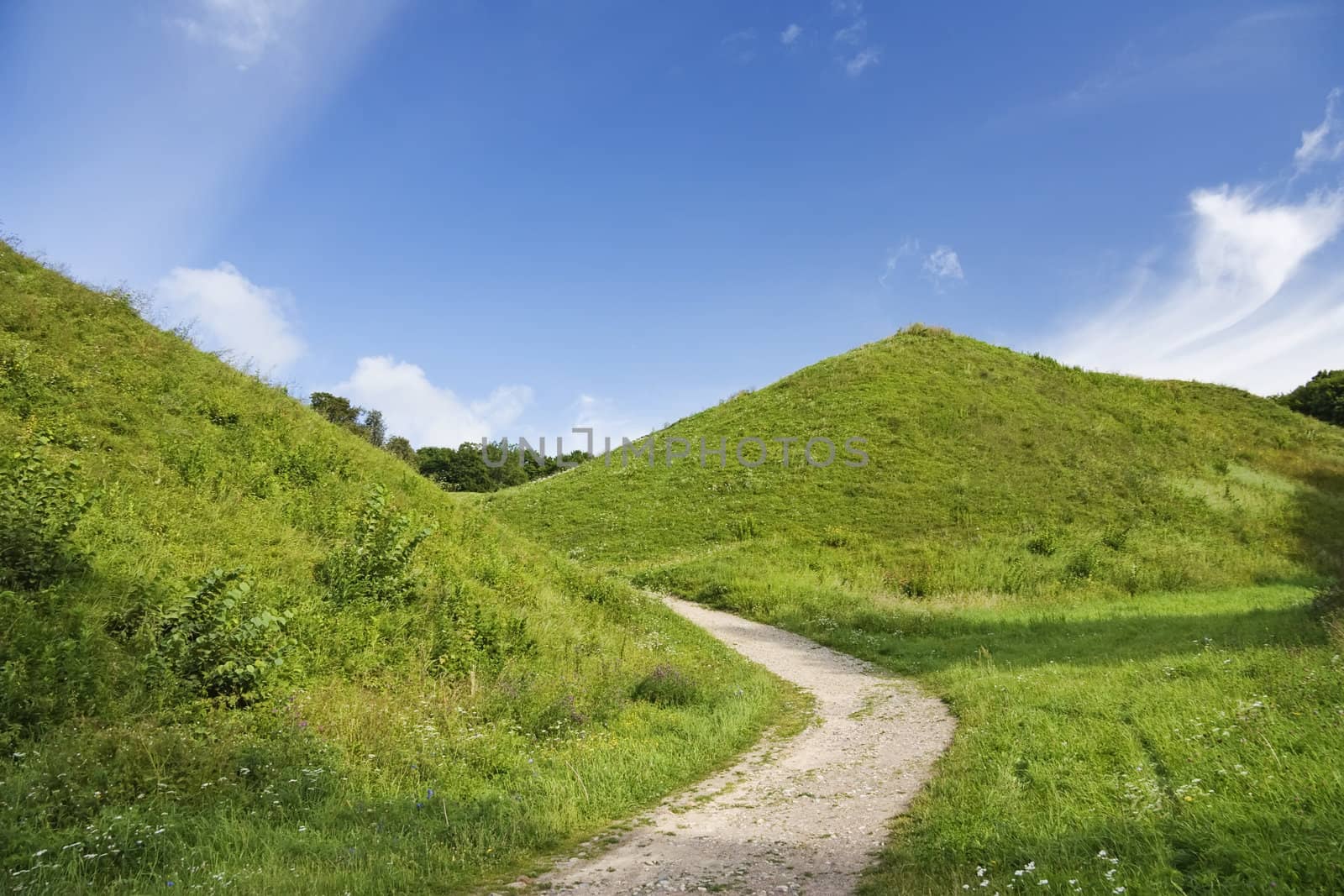 green hill, summer