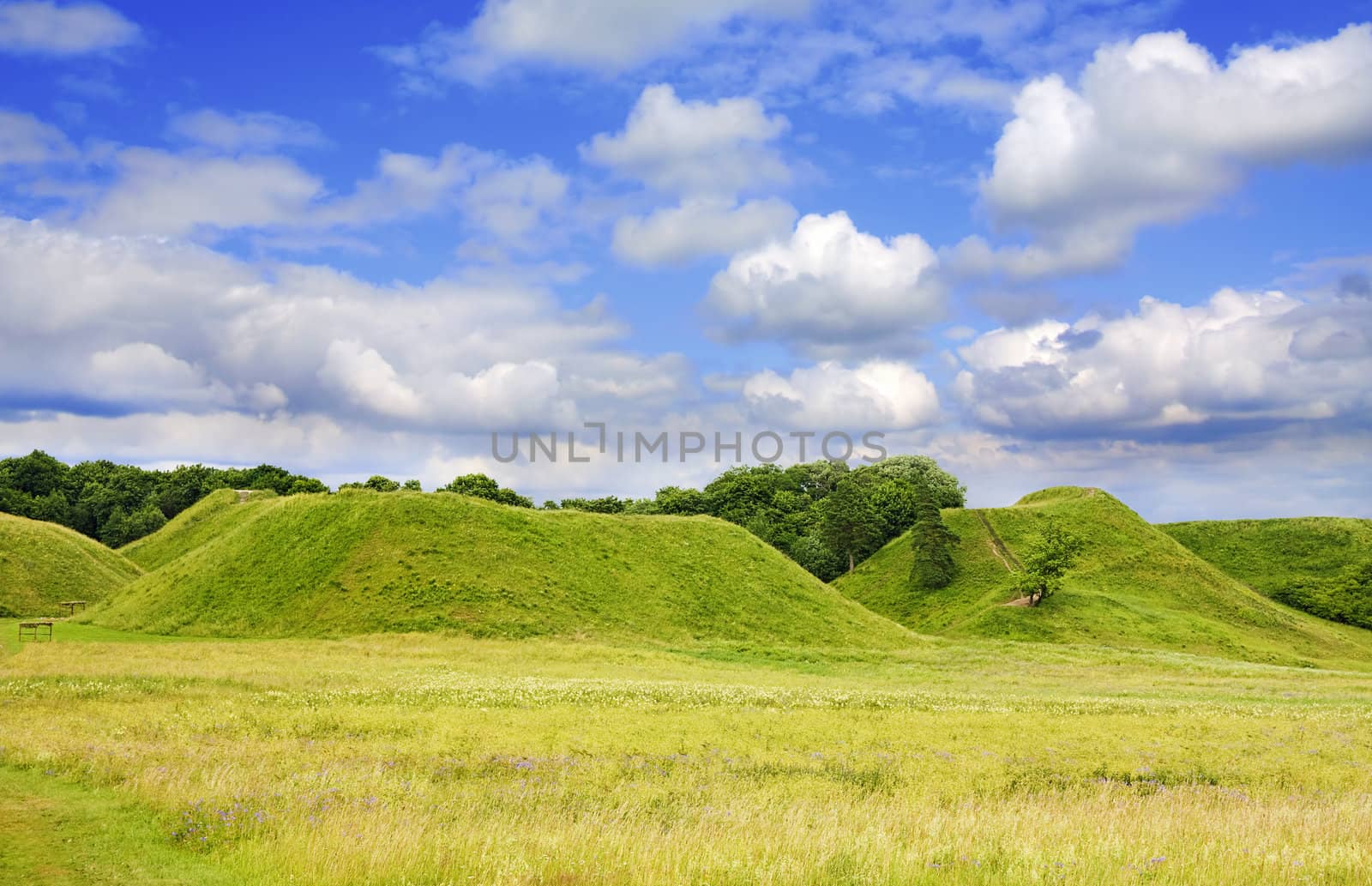 green hill, summer