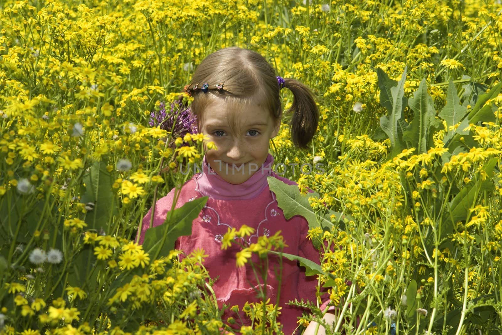 The girl in a pink dress by Sergey_Shulgin