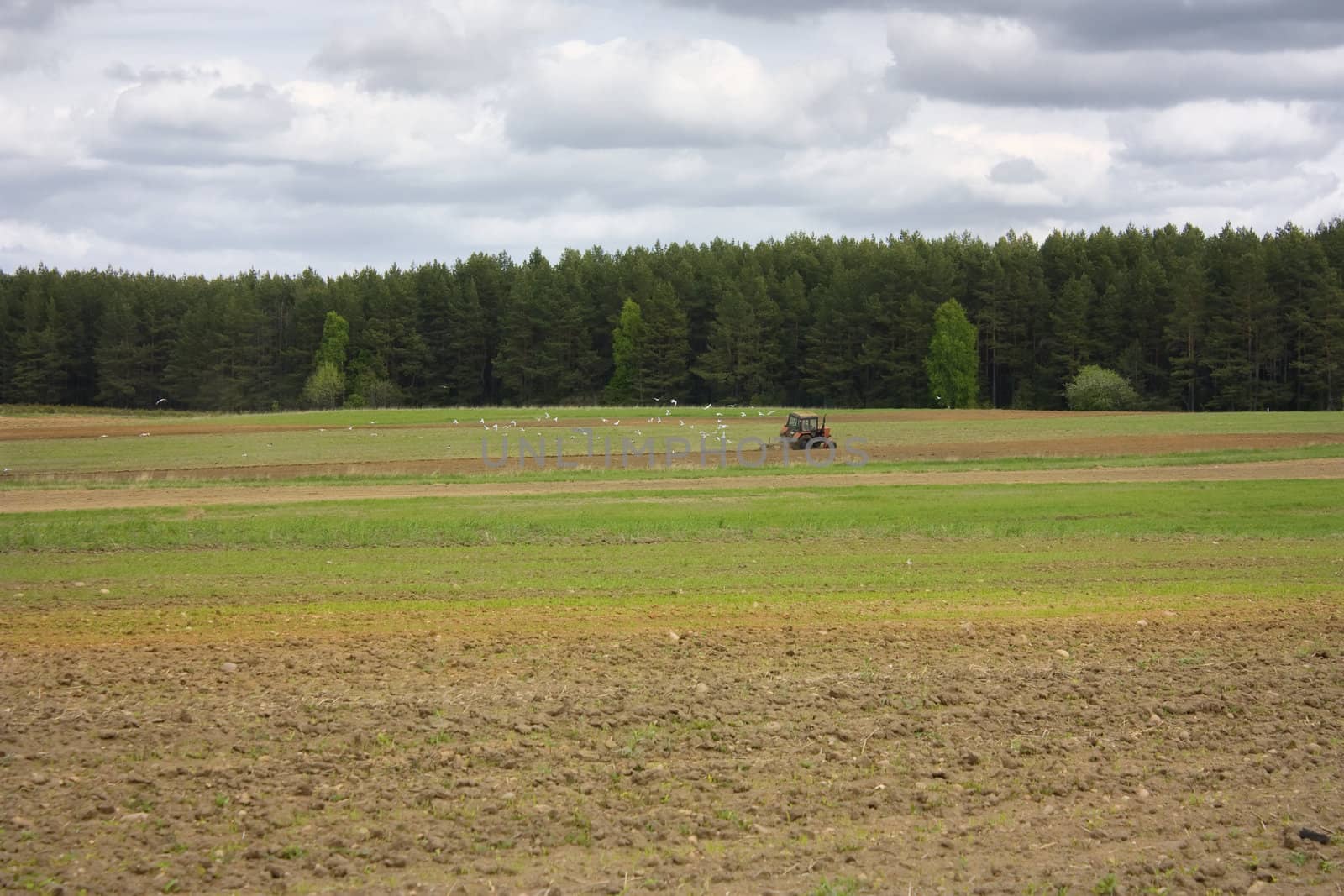 spring work in the field, tractor
