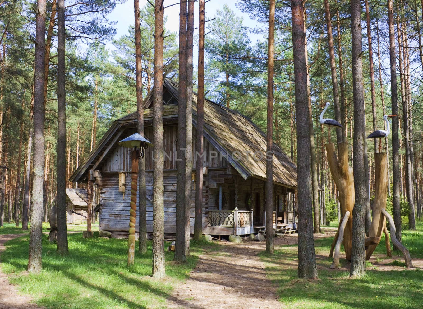 old house in the woods