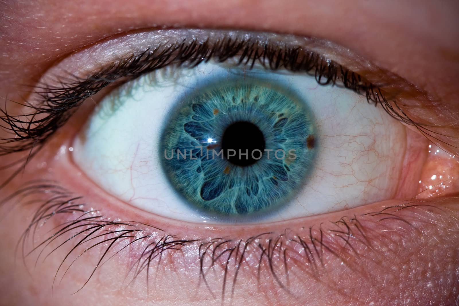 Eye by micahbowerbank
