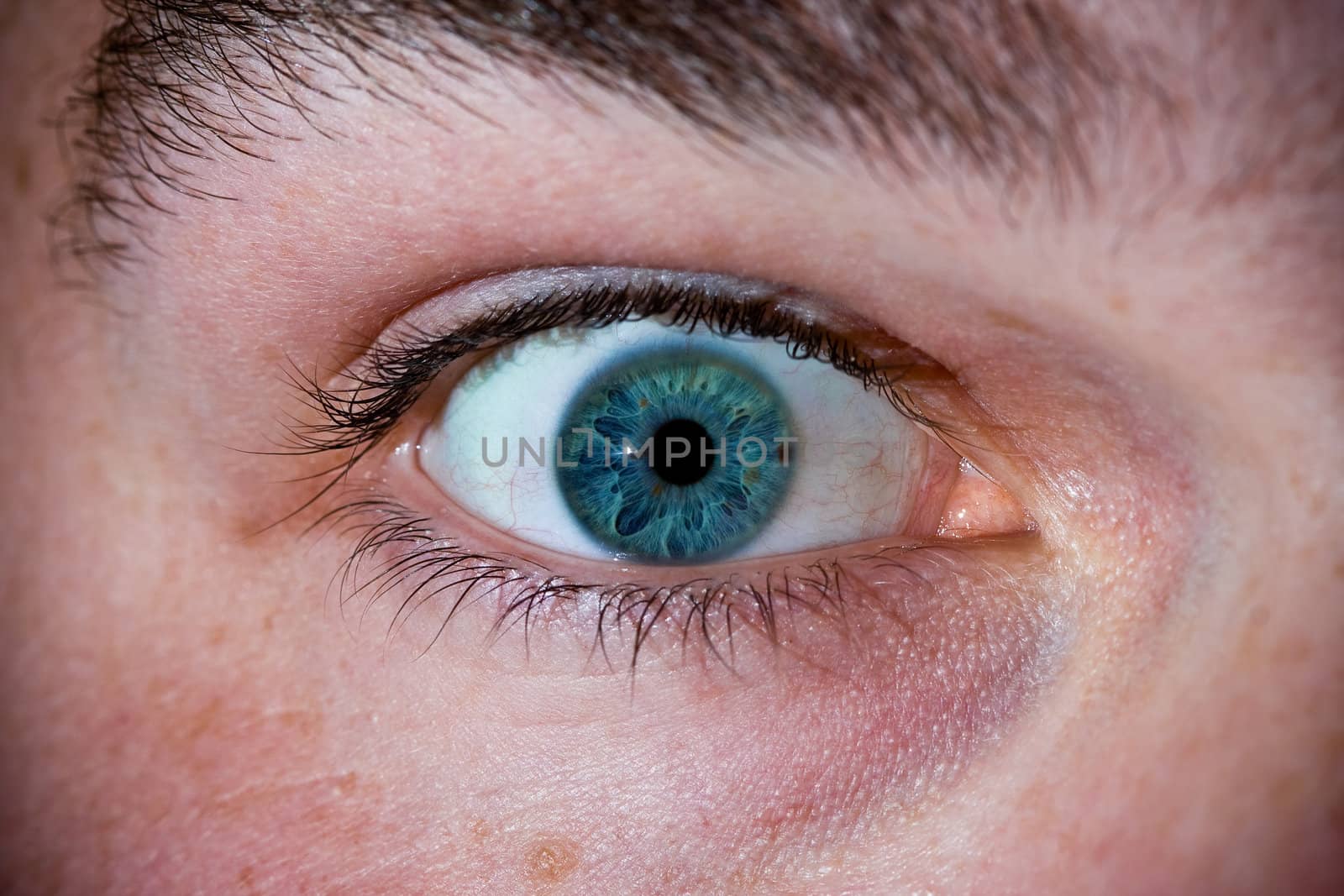 Macro close-up of a man's eye ball