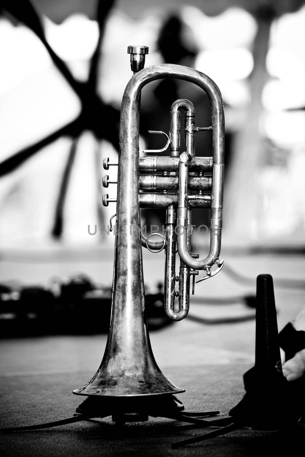 Trumpet by micahbowerbank