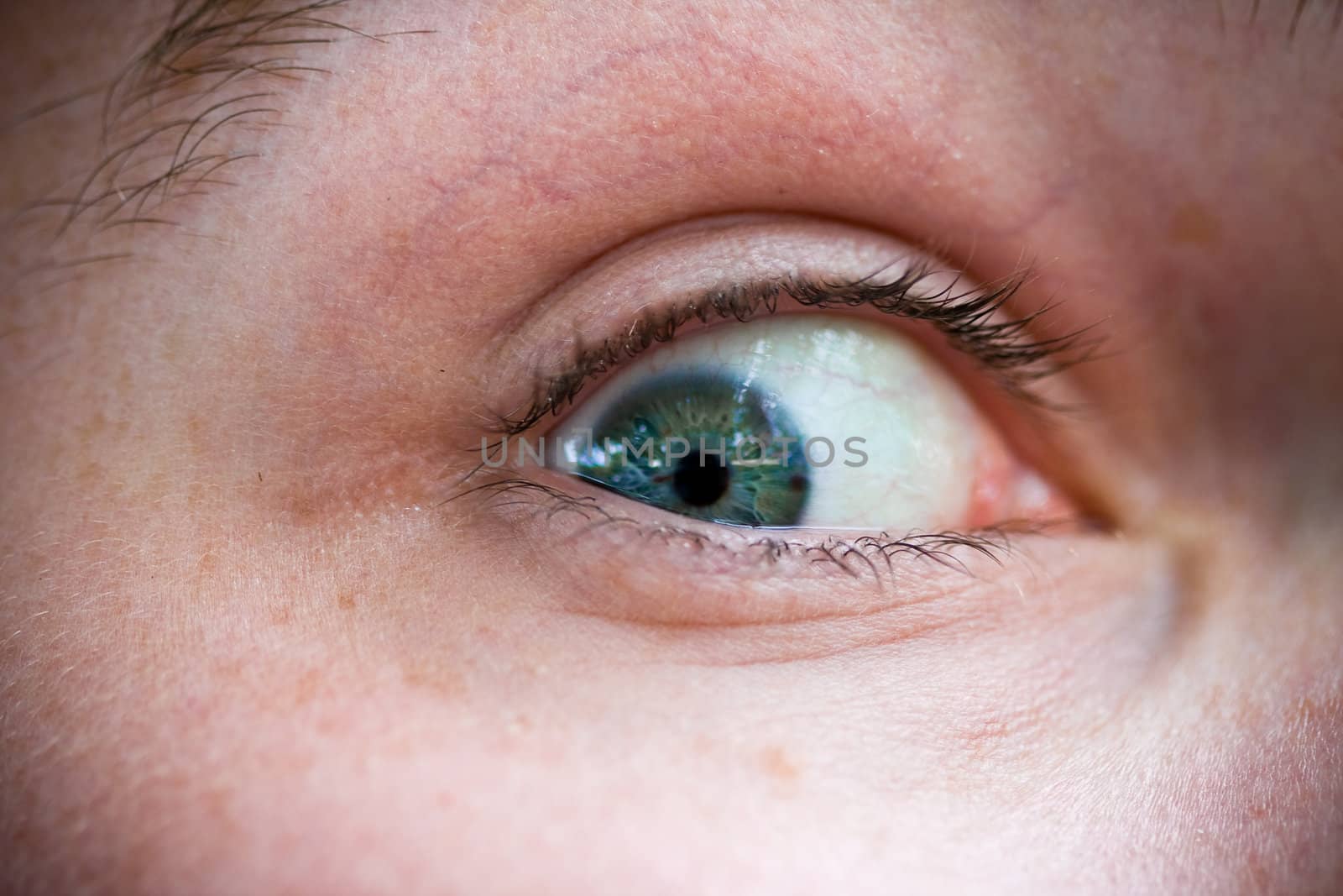 Macro close-up of a man's eye ball