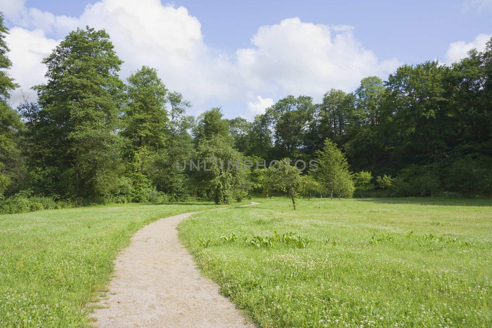 trail in the summer the park, blue sky