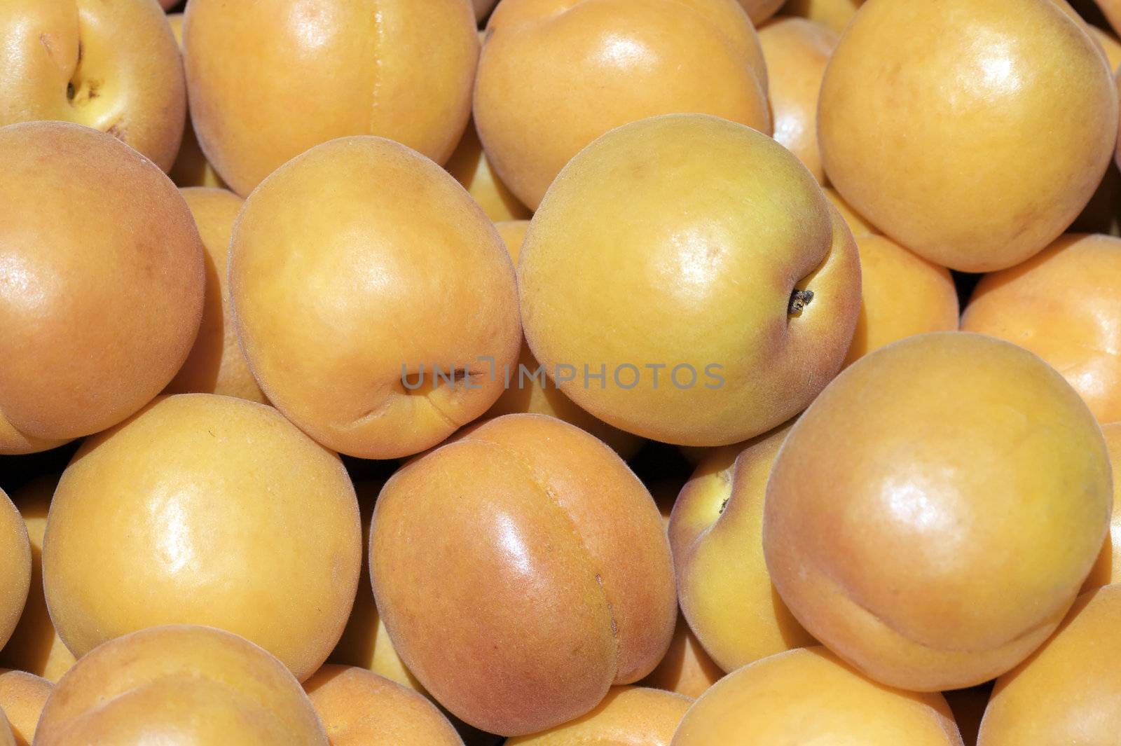 A shot of peaches at the market.